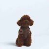MYSIGT STICKAD HUNDTRÖJA MYSIGT STICKAD HUNDTRÖJA